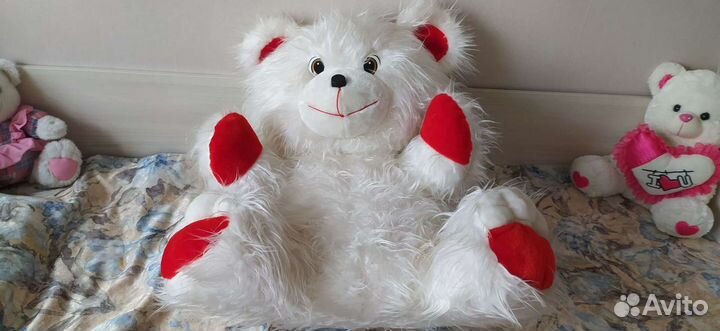 Медведь большой