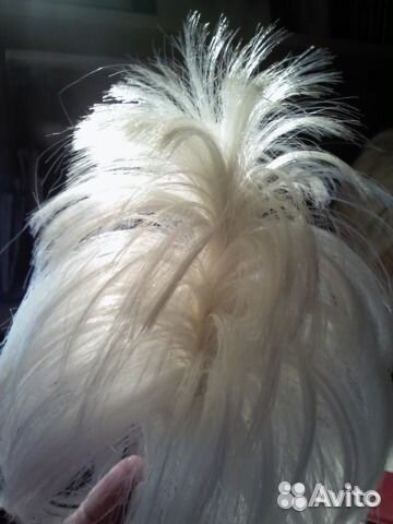 Хвост-основа