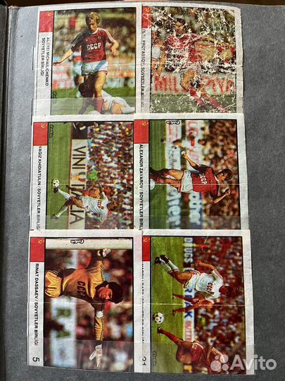 Вкладыши CinCin