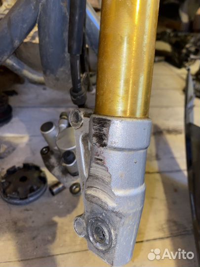 Перья и брызговик