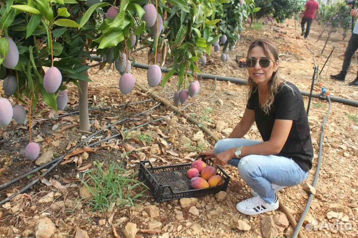 Доход 240'000 в год. Ищу партнера в готовый бизнес