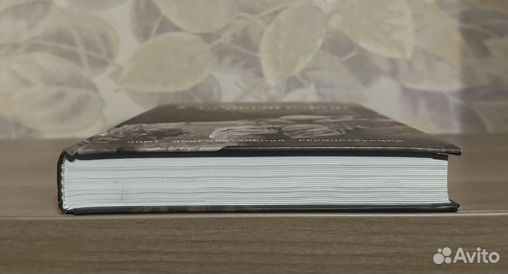 Журавель, Лебедев. Грозный. Особый район