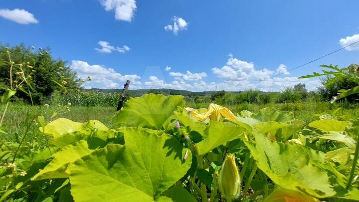 Участок 16,3 сот. (СНТ, ДНП)