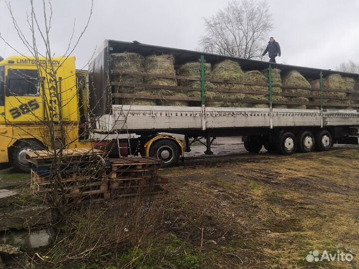 Сено и Солома