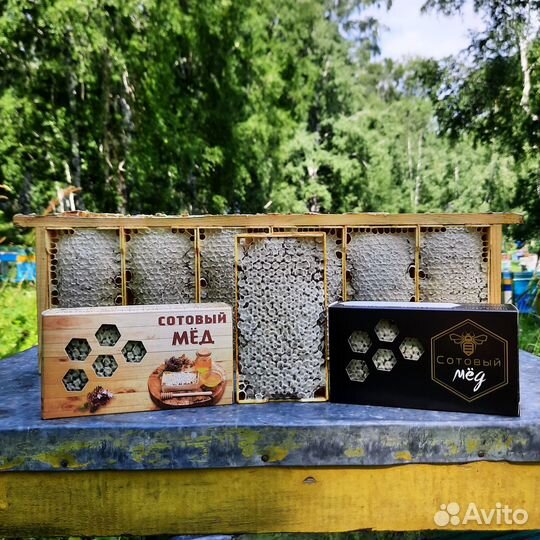Сотовый мёд в мини-рамках (сбор 2023)