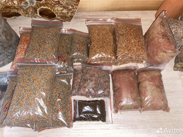 Сухой и мороженный корм для рыбок и сомов