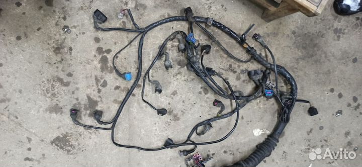 Коса проводка моторная Audi a6c5 2.4-2.8