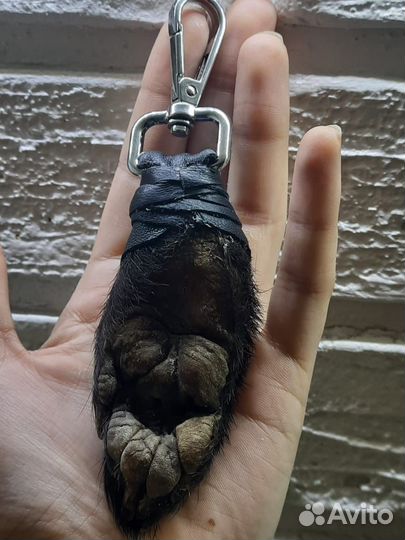 Оберег лапа барсука