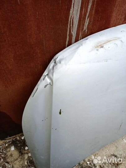 Капот на Фольксваген Тигуан 1