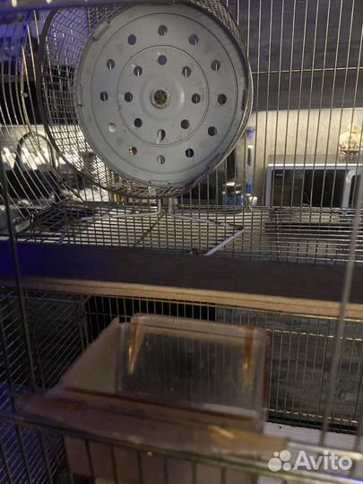 Клетка большая