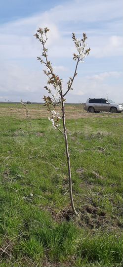 Участок 1,8 га (СНТ, ДНП)