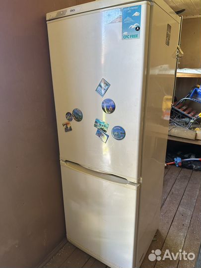 Холодильник stinol