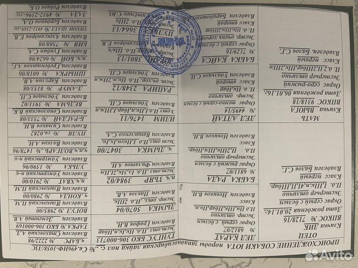 Щенки западно сибирской лайки