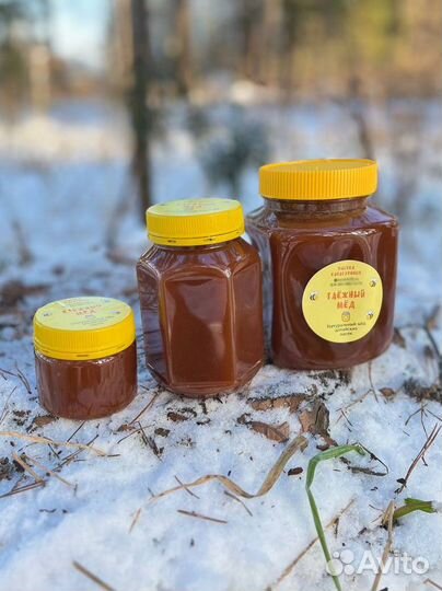 Таёжный мед (сбор 2023)