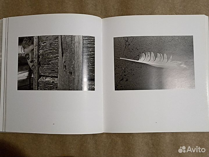 Возвращение, Владимир Мишуков