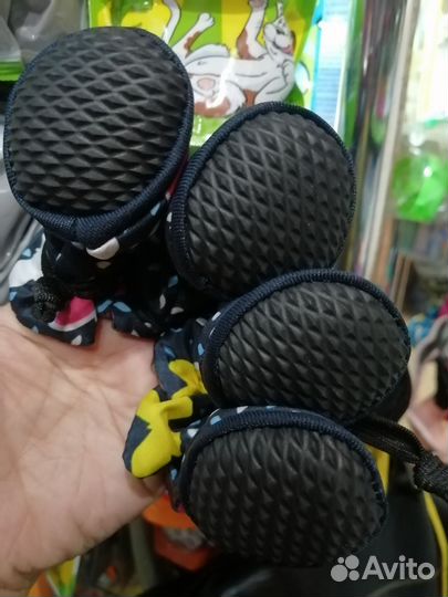 Одежда, обувь для собак