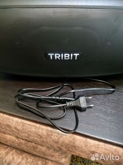 Tribit stormbox blast 2