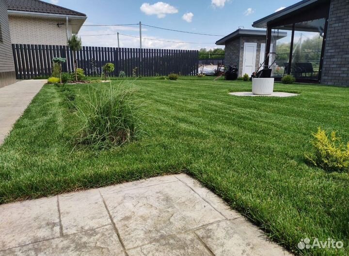 Рулонный газон 3-х летний