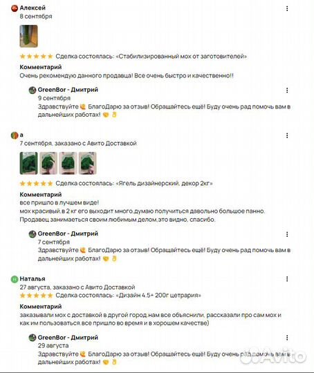 Вечно зеленый мох для поделок панно кашпо спилов