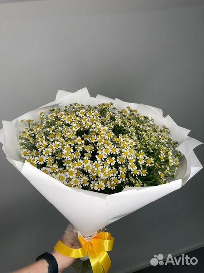Цветы Ромашки Цветы Букет с Доставкой