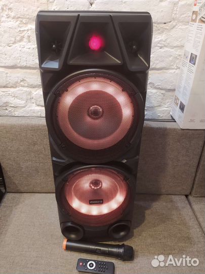 Колонки огромные караоке