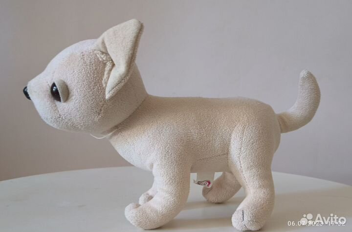 Собачка Chi chi love (забронирована до 25 июля)