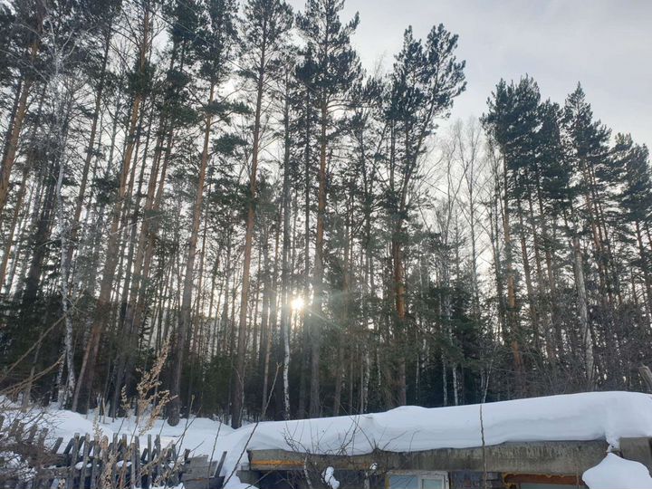 Участок 7,5 сот. (ИЖС)