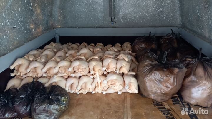 Куры свежие