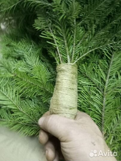 Веники пихтовые 3 шт. от Лесного жителя