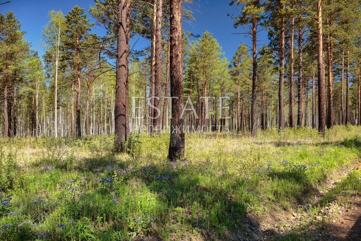 Участок 12,7 сот. (СНТ, ДНП)