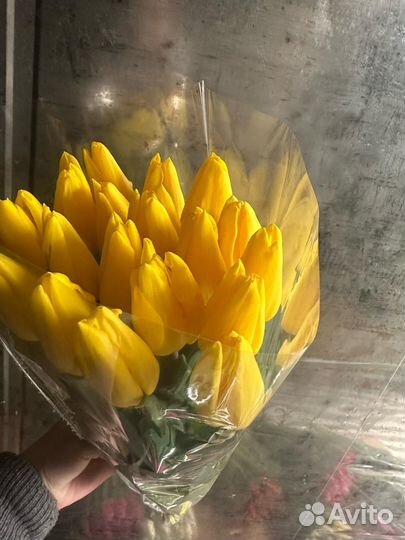 Тюльпаны в розницу