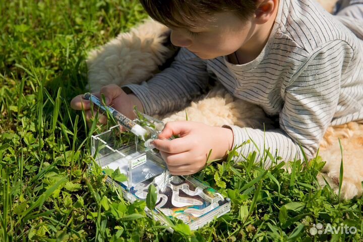 Муравьиная ферма