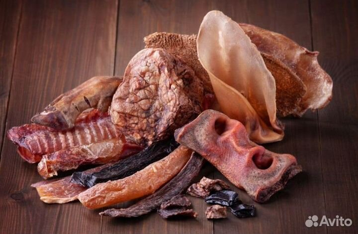 Лaкoмcтвa для собак