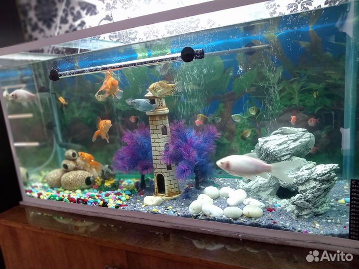 Аквариум с тумбой