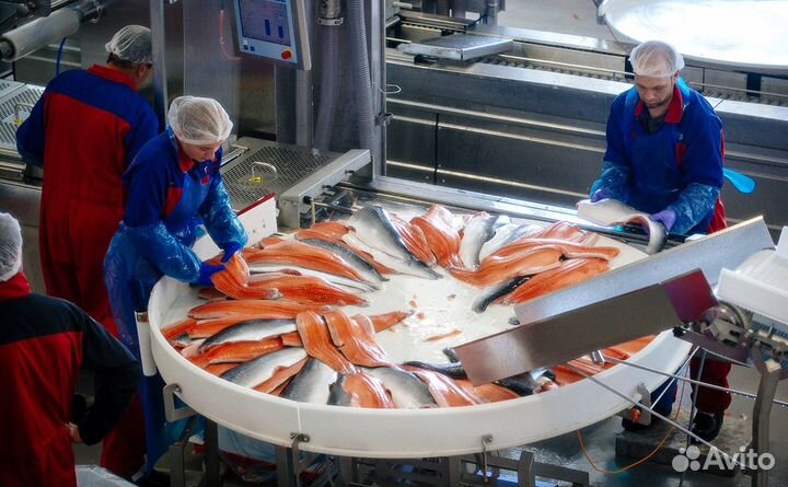 Разнорабочий