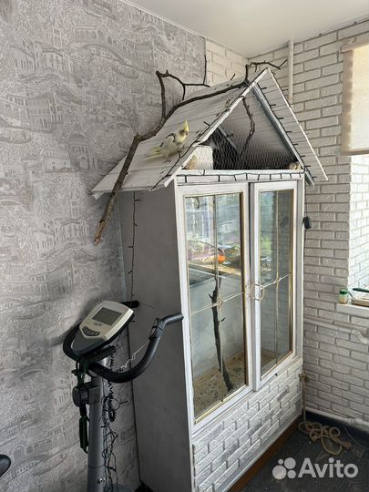 Клетка для крупного попугая вольер