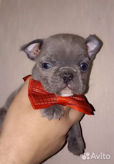 Одинокий мужчина желает познакомиться