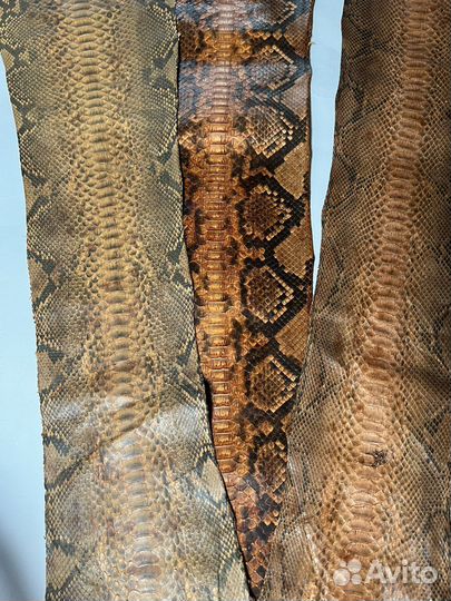 Кожа питона, зелёный мотив