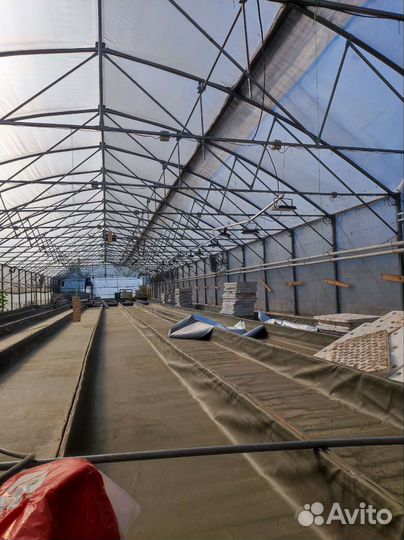 Фермерская теплица