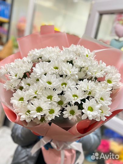 Цветы:Хризантема кустовая