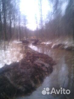 Очистка водоемов