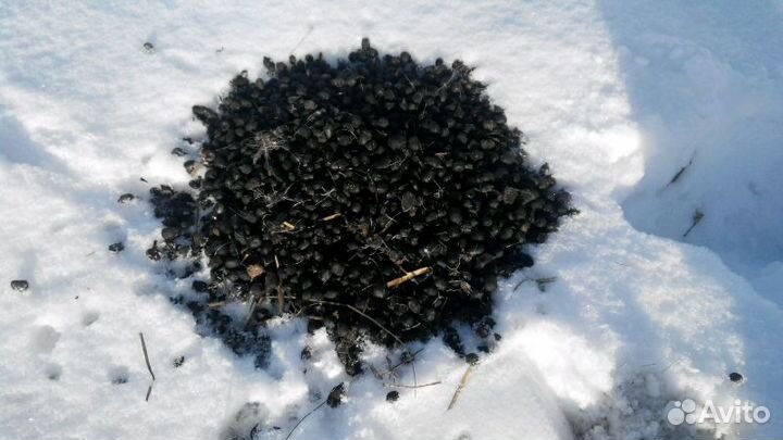 Козий навоз (горошек)