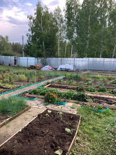 Участок 8,4 сот. (СНТ, ДНП)