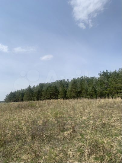 Участок 8 сот. (ИЖС)