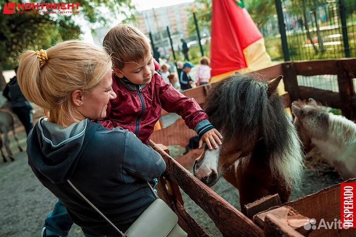 Мероприятия с четвероногими друзьями