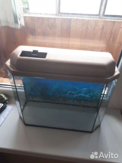 Аквариум