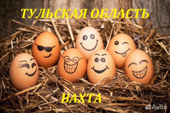 Упаковщица яиц /Вахта/Тульская область