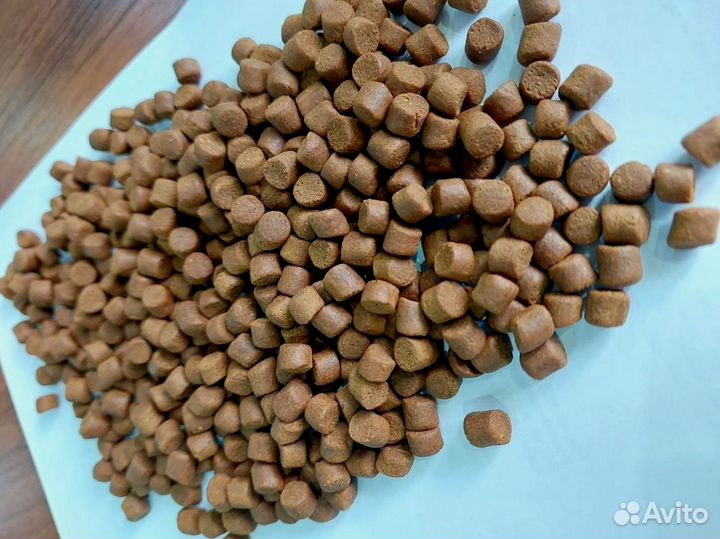 Стартовые корма для рыб