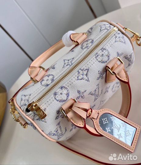 Сумка Louis Vuitton Speedy