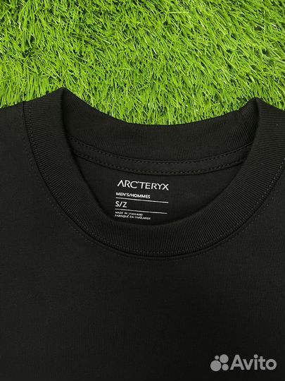 Футболка мужская Arcteryx